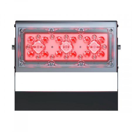 Светодиодный светильник LC 50-WALL Г60 RED